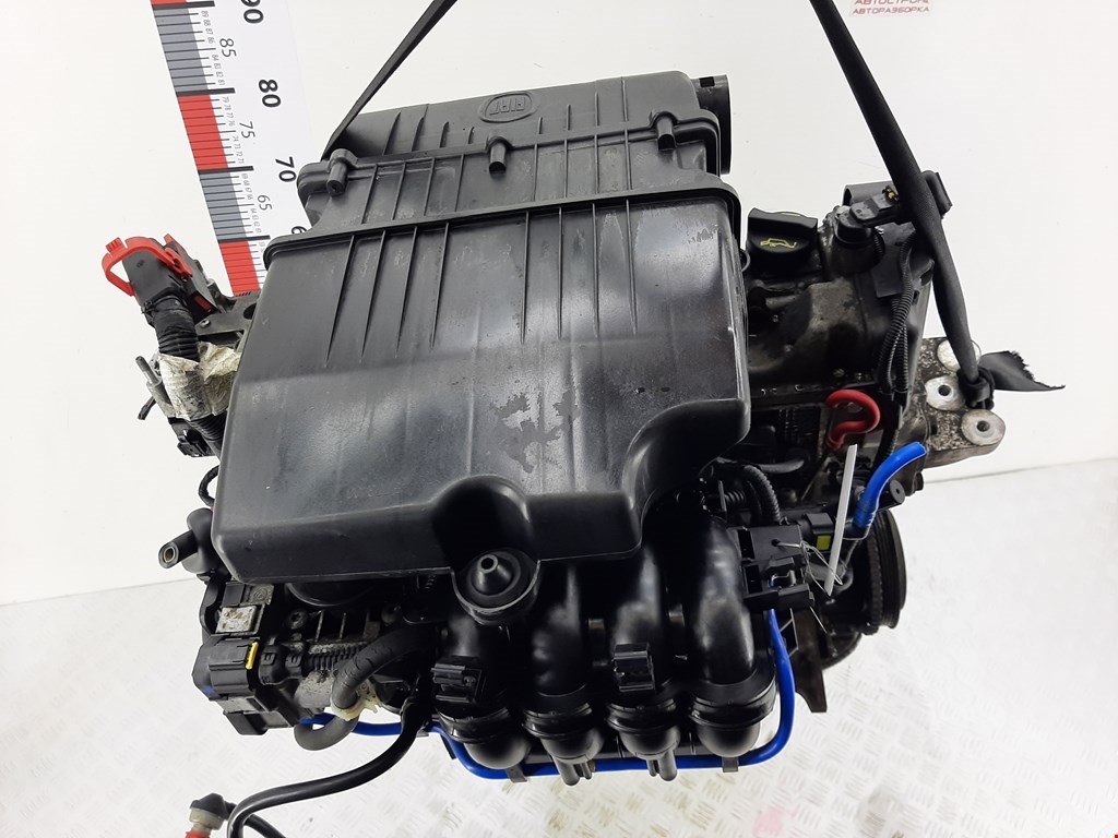 Б/У Двигатель (ДВС). Состояние - Хорошее, Fiat/Alfa/Lancia, Номер: 71751115