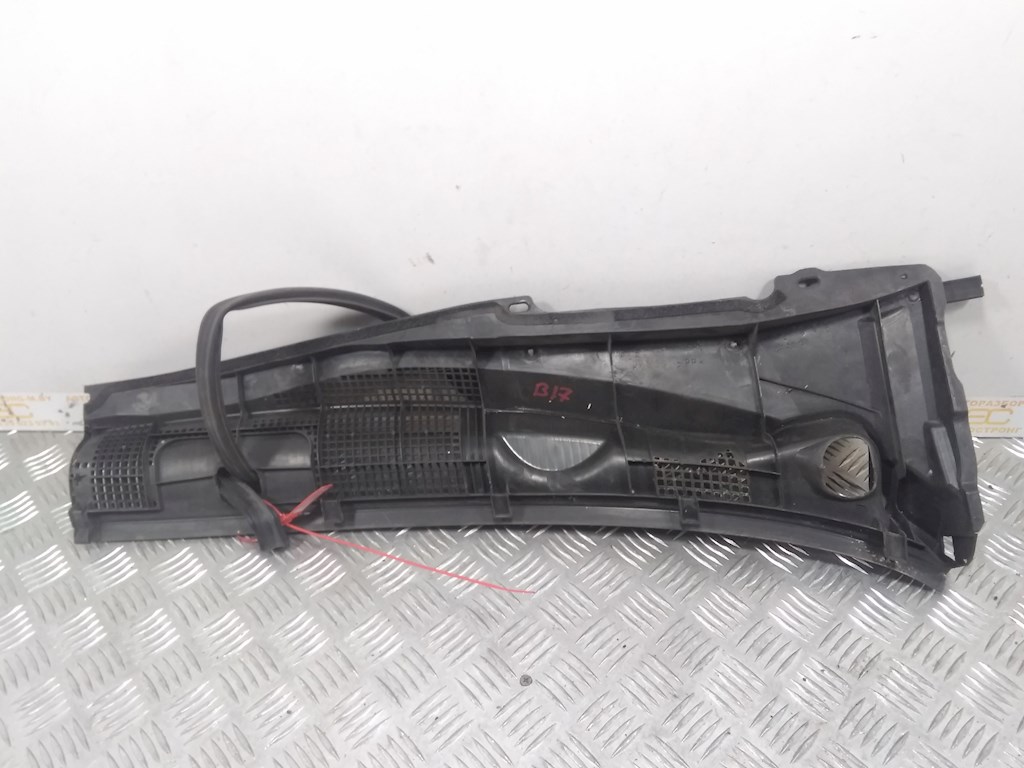 Дождевик (жабо)