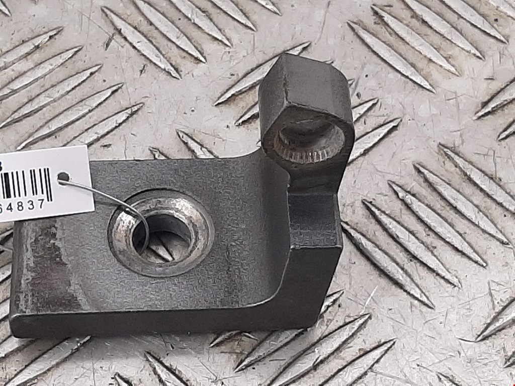 Петля двери передней правой BMW X5 (E70) (2006-2013)