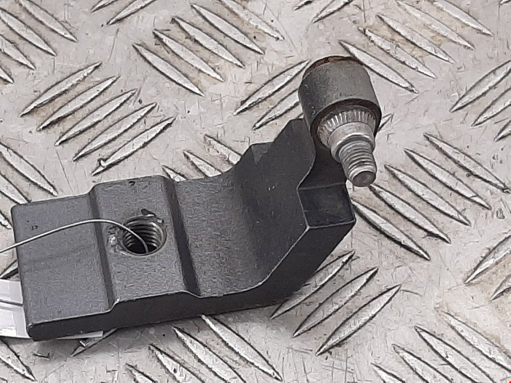 Петля двери задней правой BMW X5 (E70) (2006-2013)