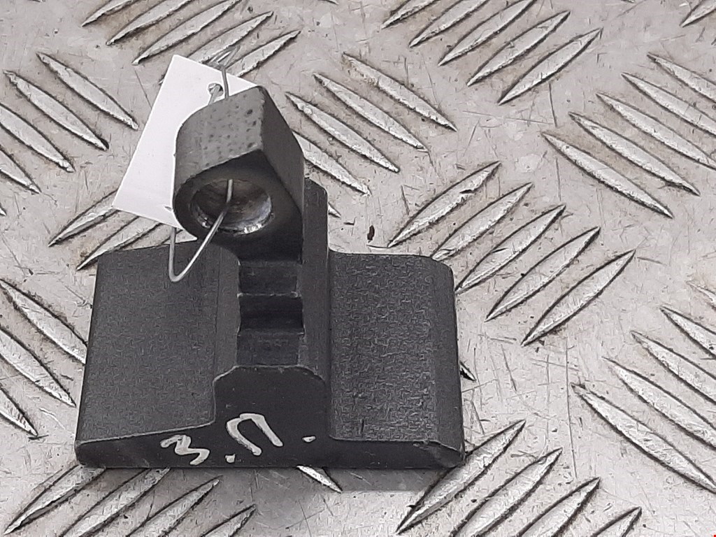 Петля двери задней правой BMW X5 (E70) (2006-2013)