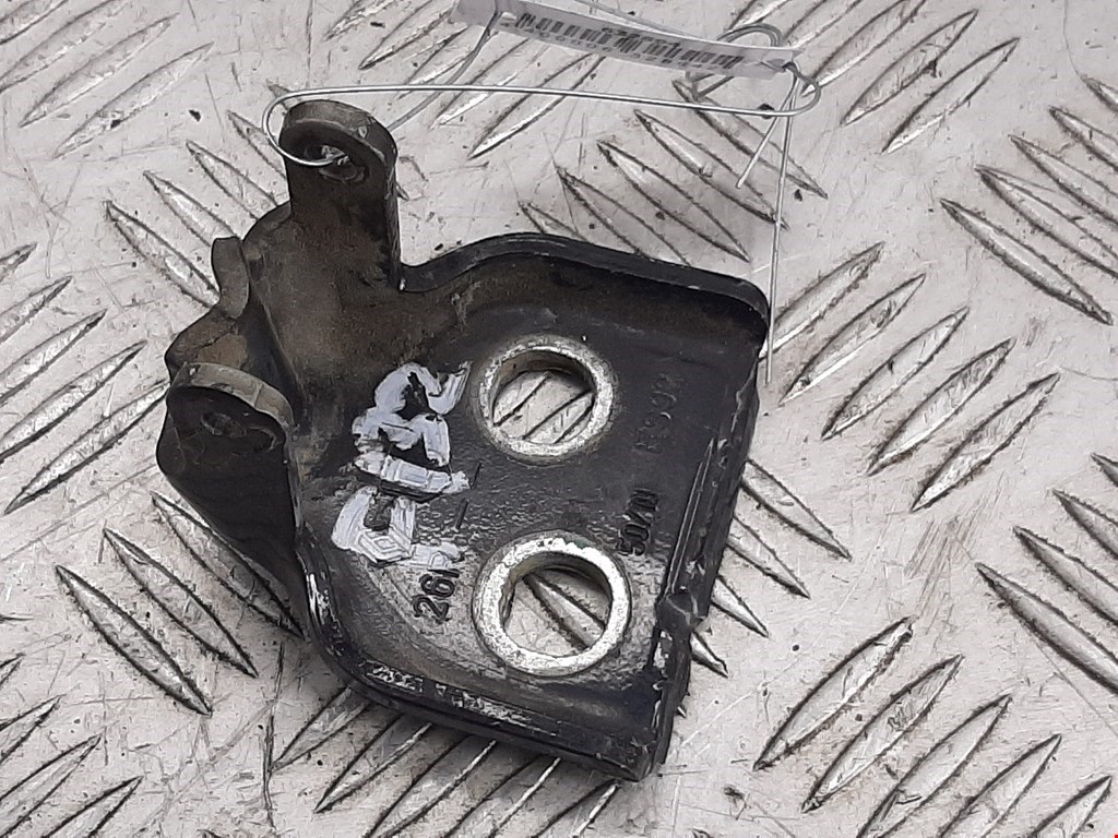 Петля двери передней левой Renault Sandero 1 (2007-2014)