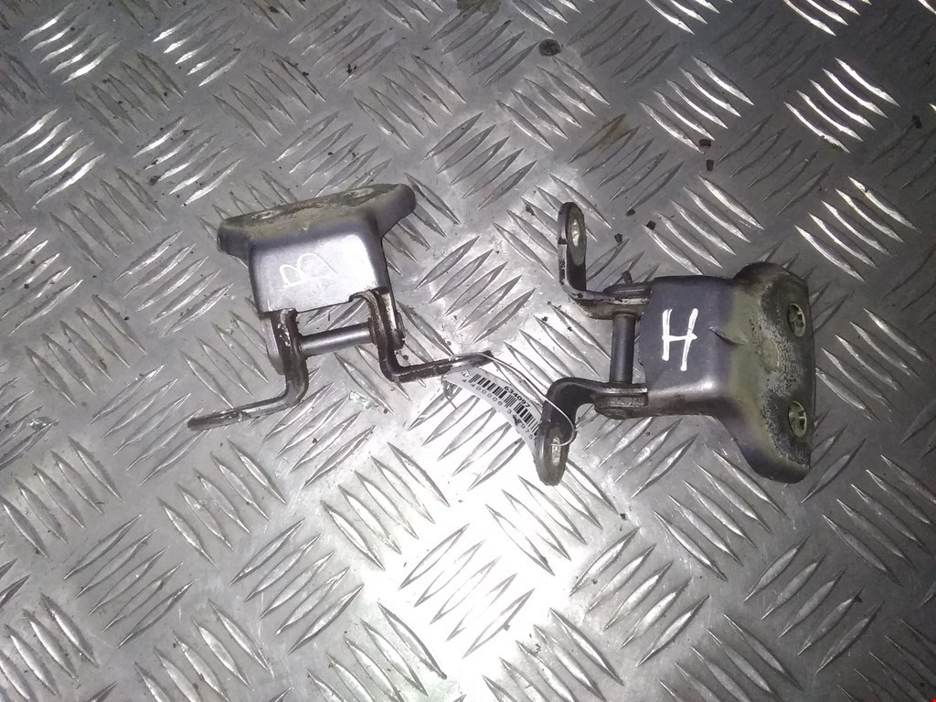 Петля двери задней левой Daewoo Kalos (2002-2007)