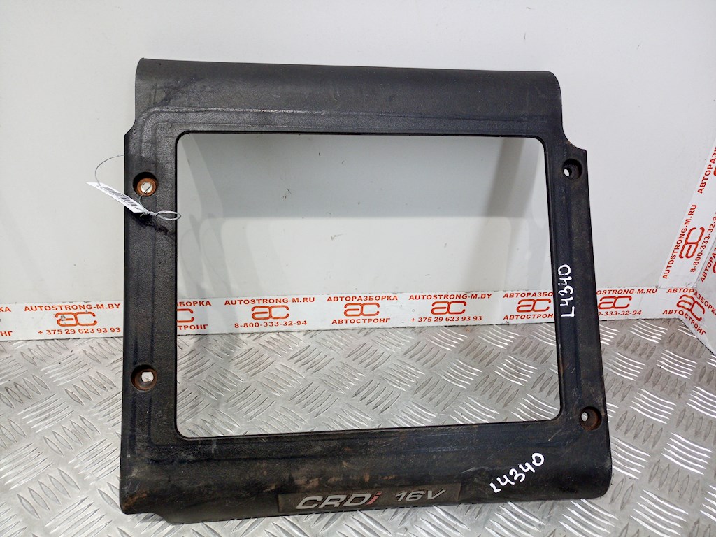 Накладка декоративная (на рамку радиатора) Hyundai Santa Fe 2 (CM) (2005-2012)