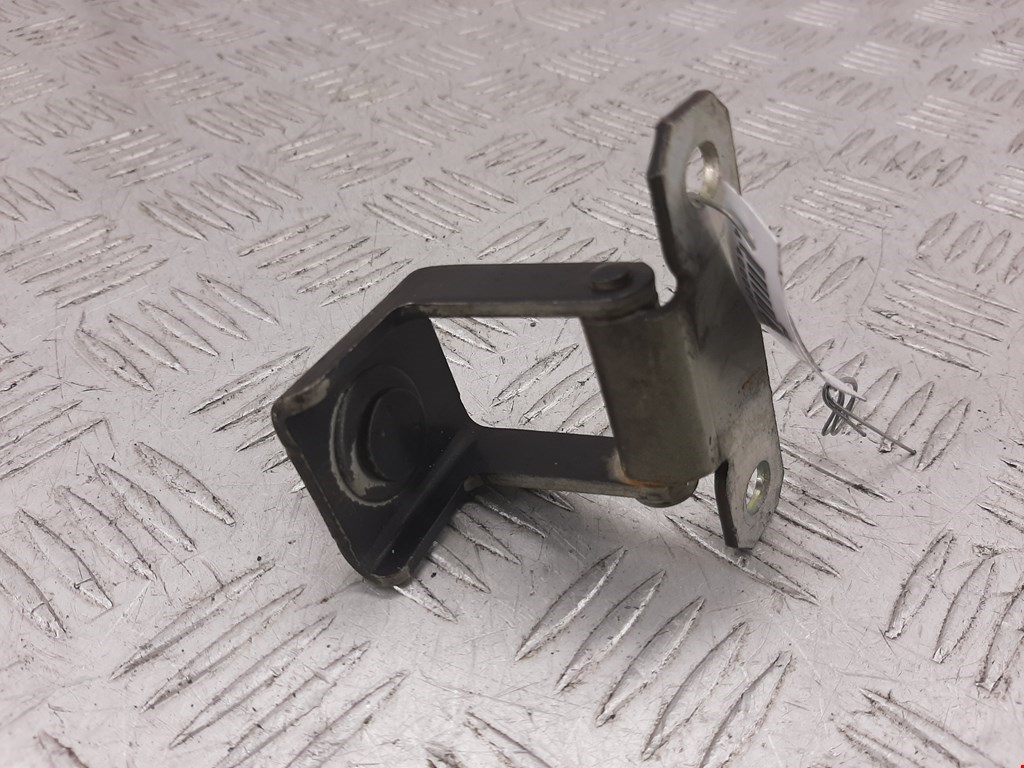 Петля крышки (двери) багажника Renault Scenic 3 (2009-2016)
