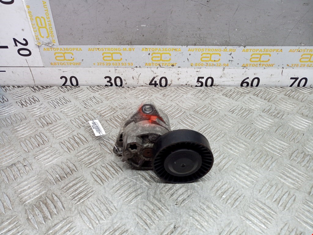 Натяжитель ремня генератора (приводного поликлинового ремня Kia Carnival (Sedona) 1 (UP/GQ) (1998-2006)