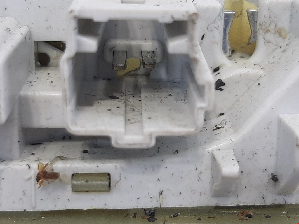 Плафон салонный (салона фонарь) PEUGEOT 1007 2005-2009