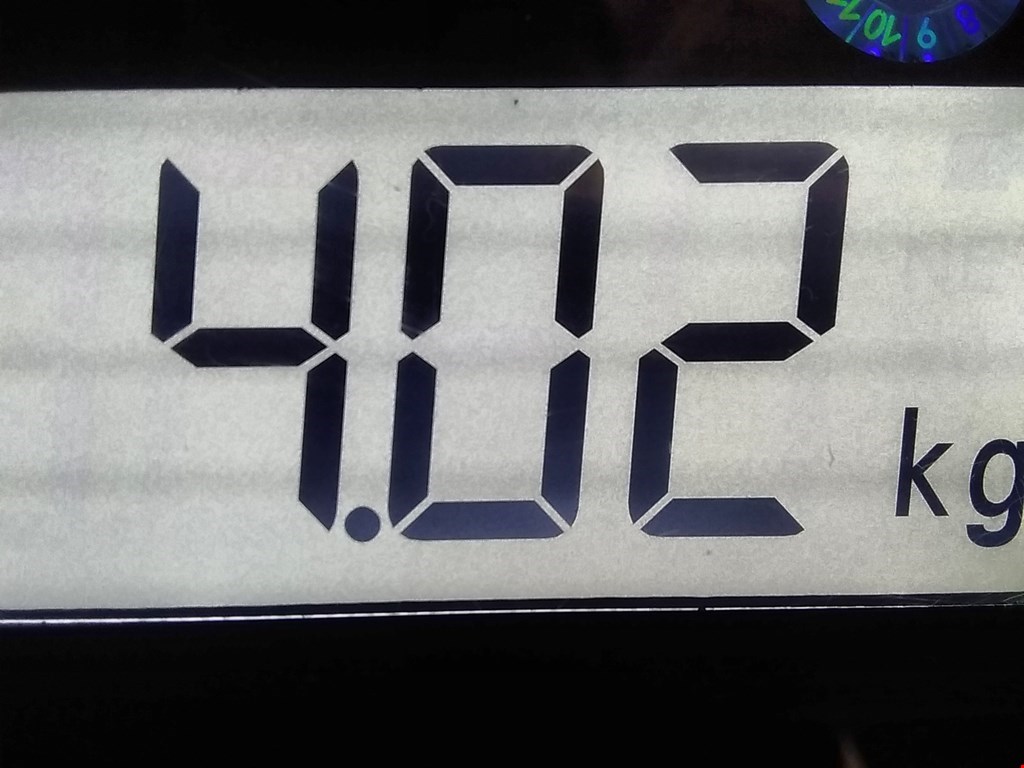 Усилитель переднего бампера (передний) JAGUAR X-Type 2001-2009