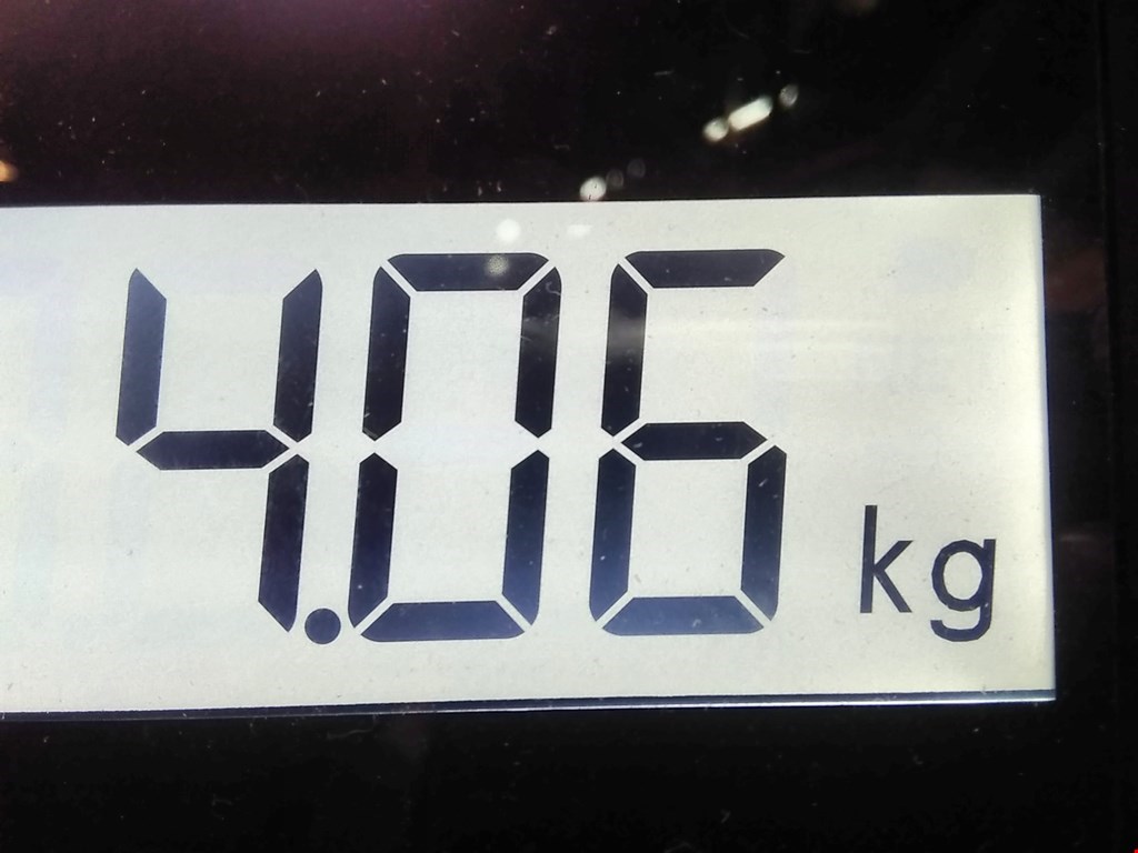 Стекло кузовное глухое левое DODGE Caravan V 2007-2020