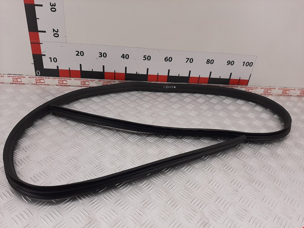 Уплотнитель двери FORD C-MAX 2010-2019