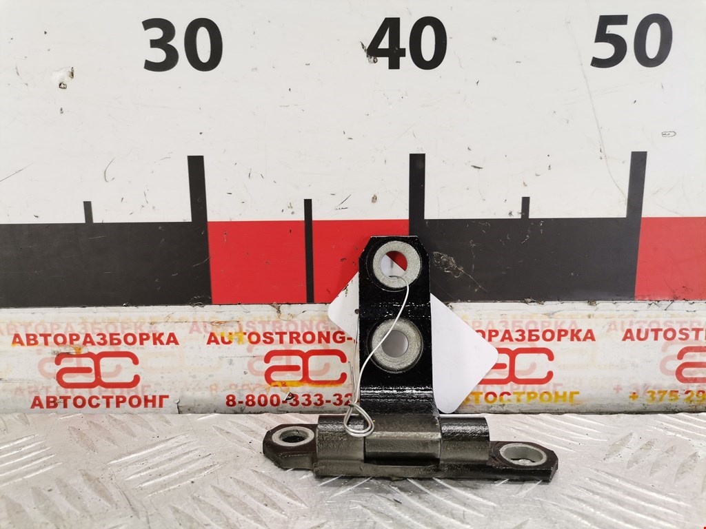 Петля двери задней левой