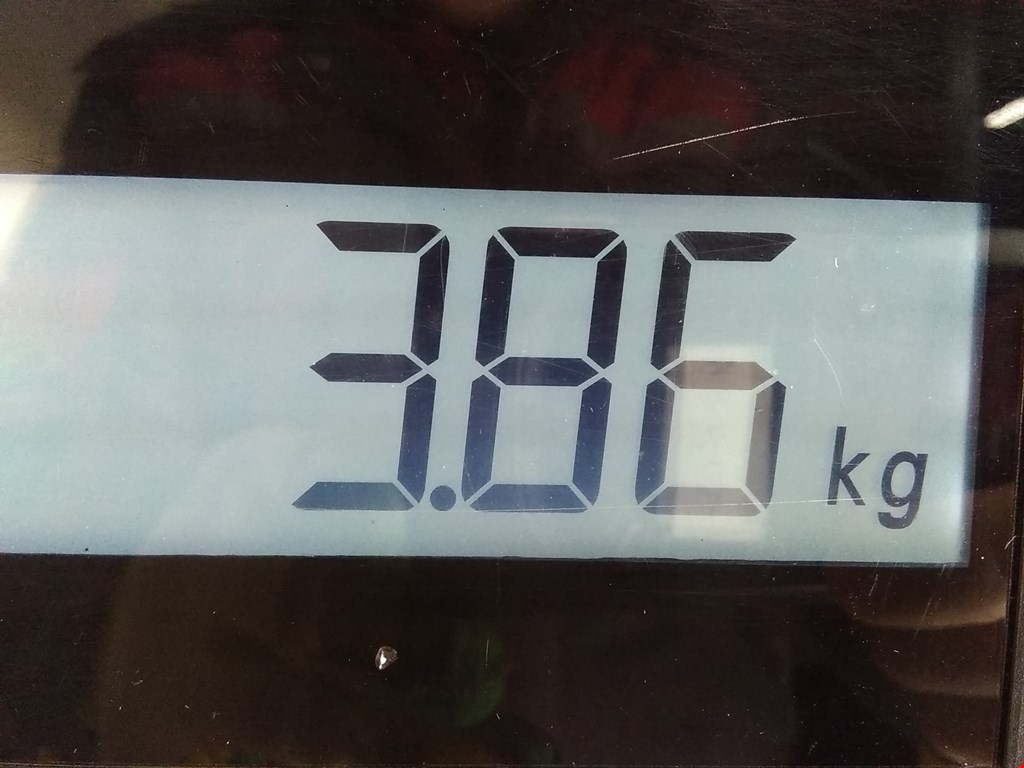 Стеклоподъемник задний правый VOLVO S80 II 2006-2016