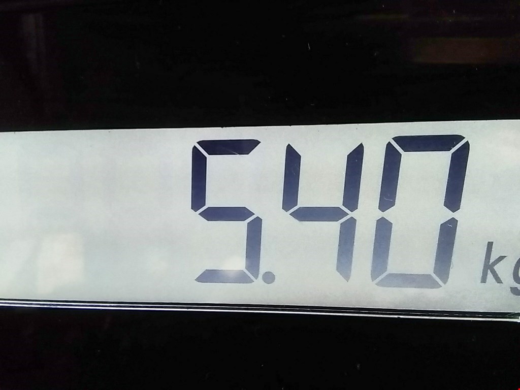 Сигнал звуковой (гудок клаксон) INFINITI M 2005-2010