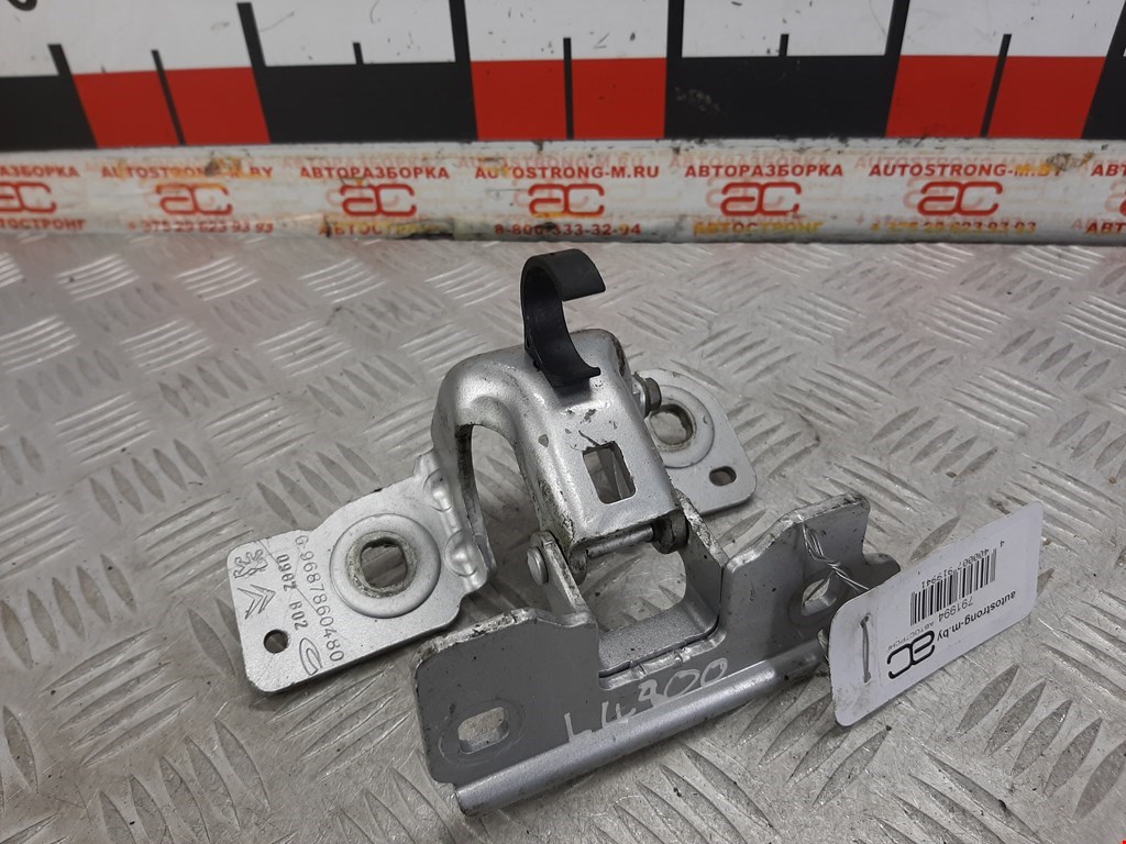 Петля крышки (двери) багажника Peugeot 508 1 (2010-2018)