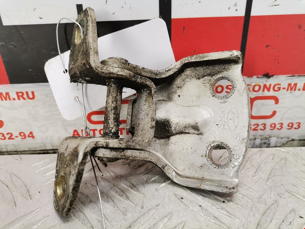 Петля двери задней левой Hyundai Santa Fe 1 (SM) (2000-2006)