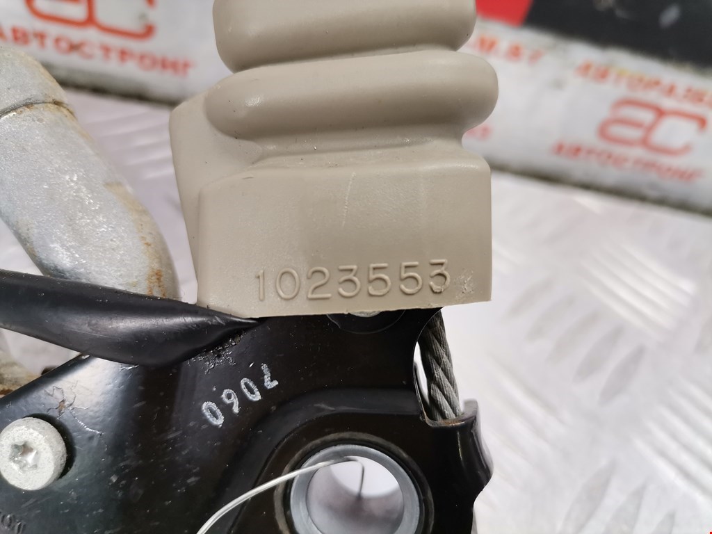 thumb