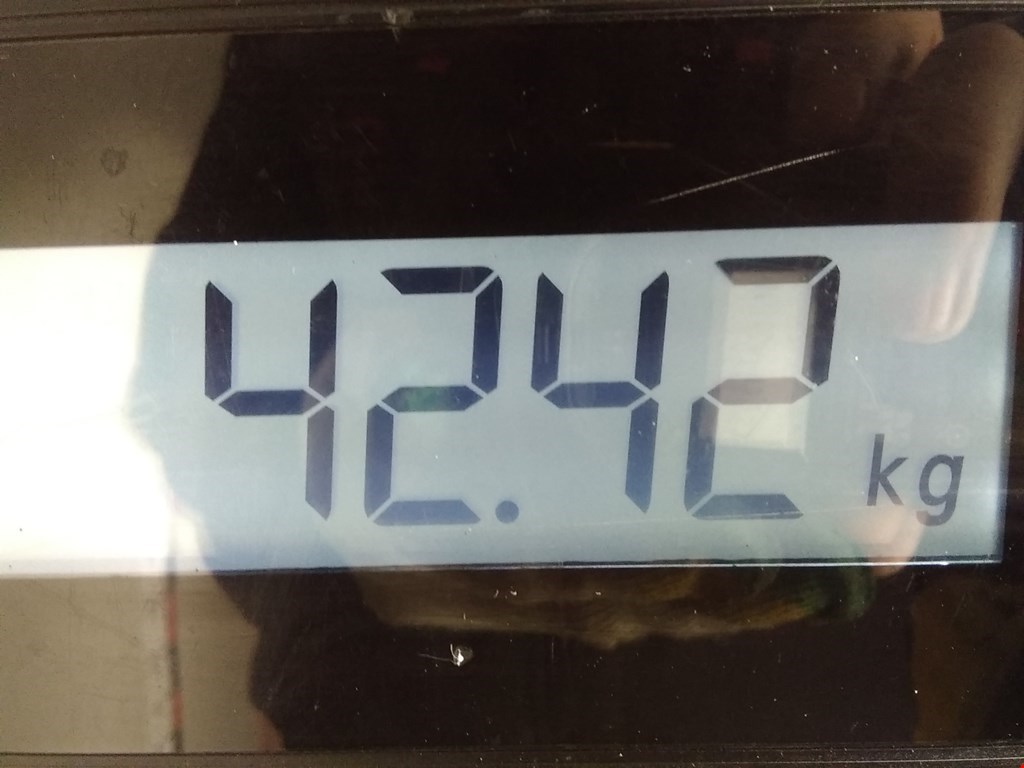 Дверь передняя левая INFINITI QX56/QX80 2004-2010