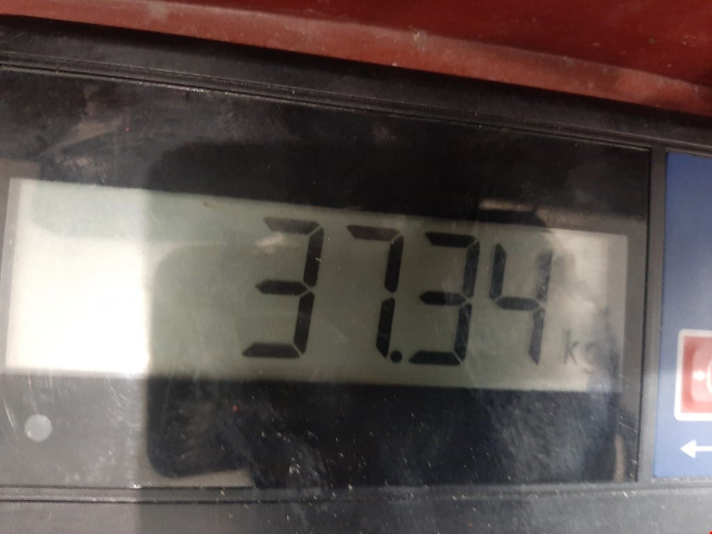 МКПП (Механическая коробка переключения передач) FORD Focus III 2011-2019