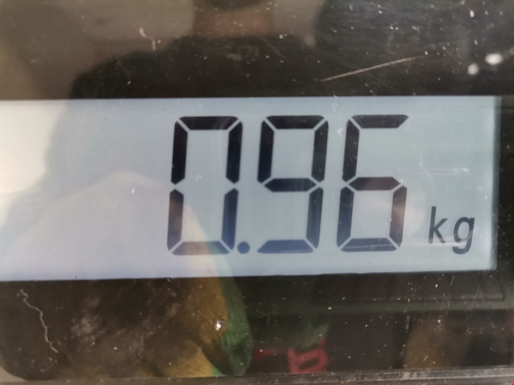 Моторчик стеклоочистителя задний FIAT Punto II (188) 1999-2007