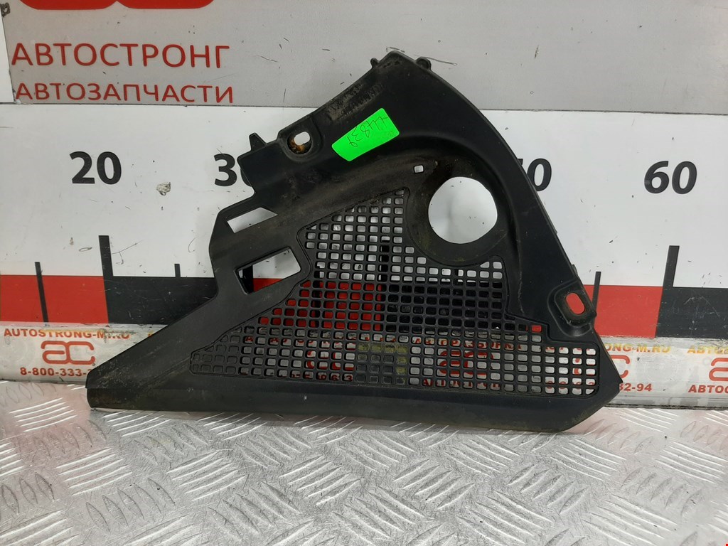 Дождевик (жабо)