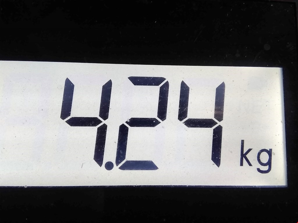 Рычаг передний левый KIA Carnival I 1999-2005