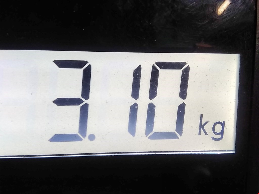 Стекло двери переднее правое MINI Clubman Estate F54 2016-н.в.