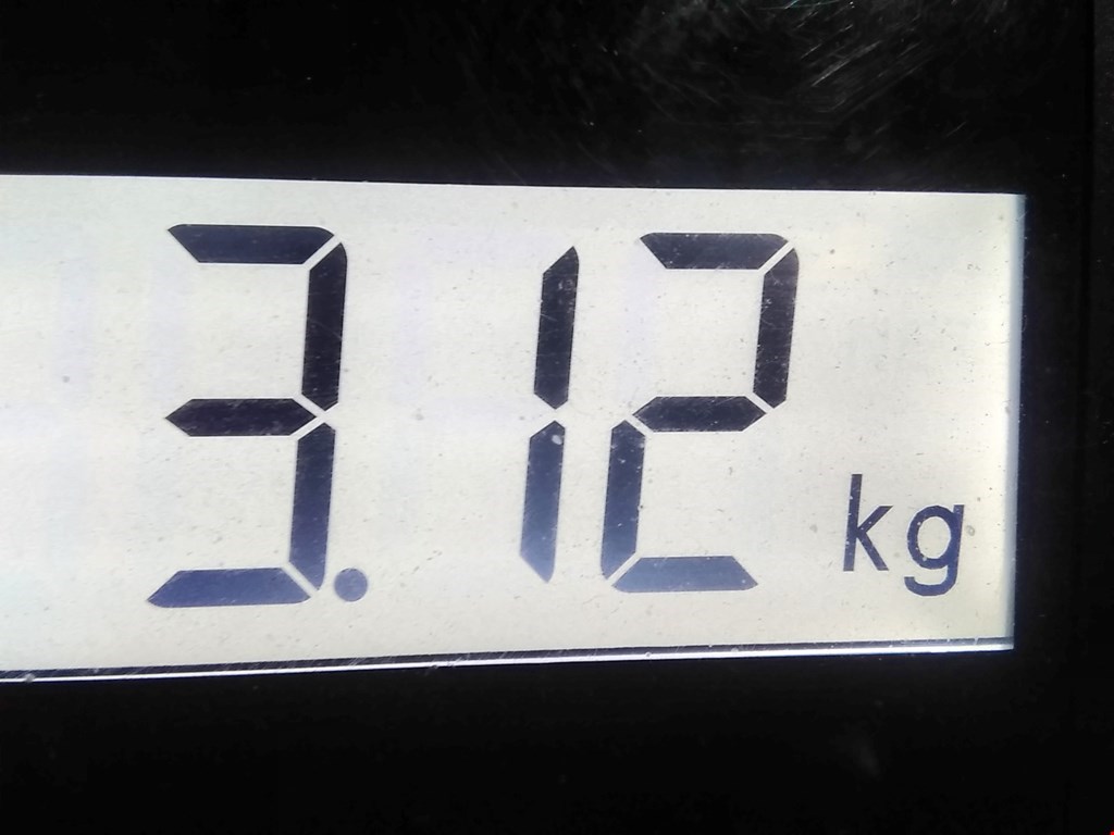 Стекло двери переднее правое MINI Clubman Estate F54 2016-н.в.