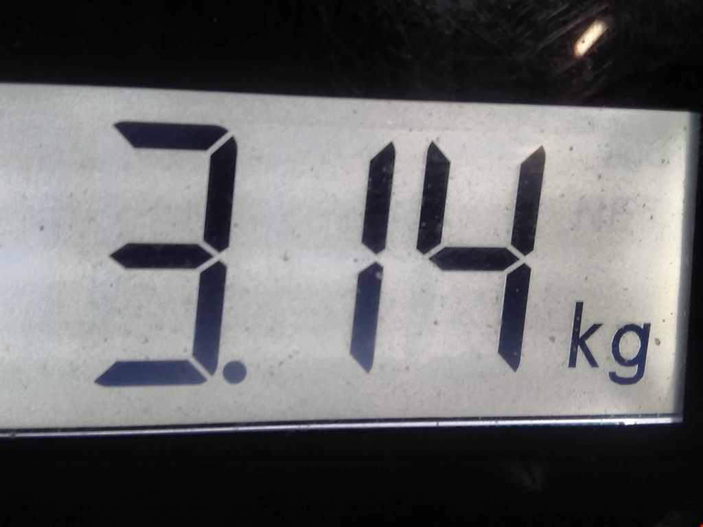 Стекло двери переднее левое MINI Clubman Estate F54 2016-н.в.