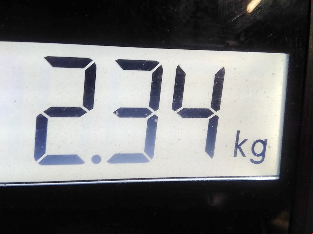 Стекло двери заднее правое MINI Clubman Estate F54 2016-н.в.