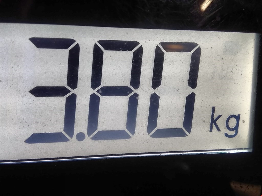 Стекло кузовное глухое правое RENAULT Espace 1997-2003