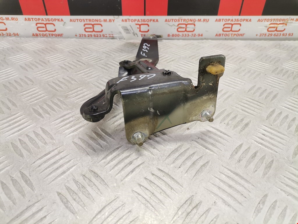 Петля капота левая/правая RENAULT Scenic II 2003-2010