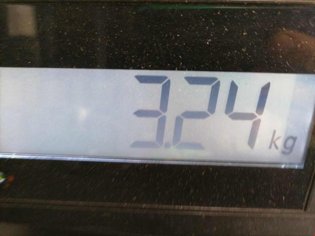 Радиатор основной SKODA Octavia A5 1Z- 2004-2013