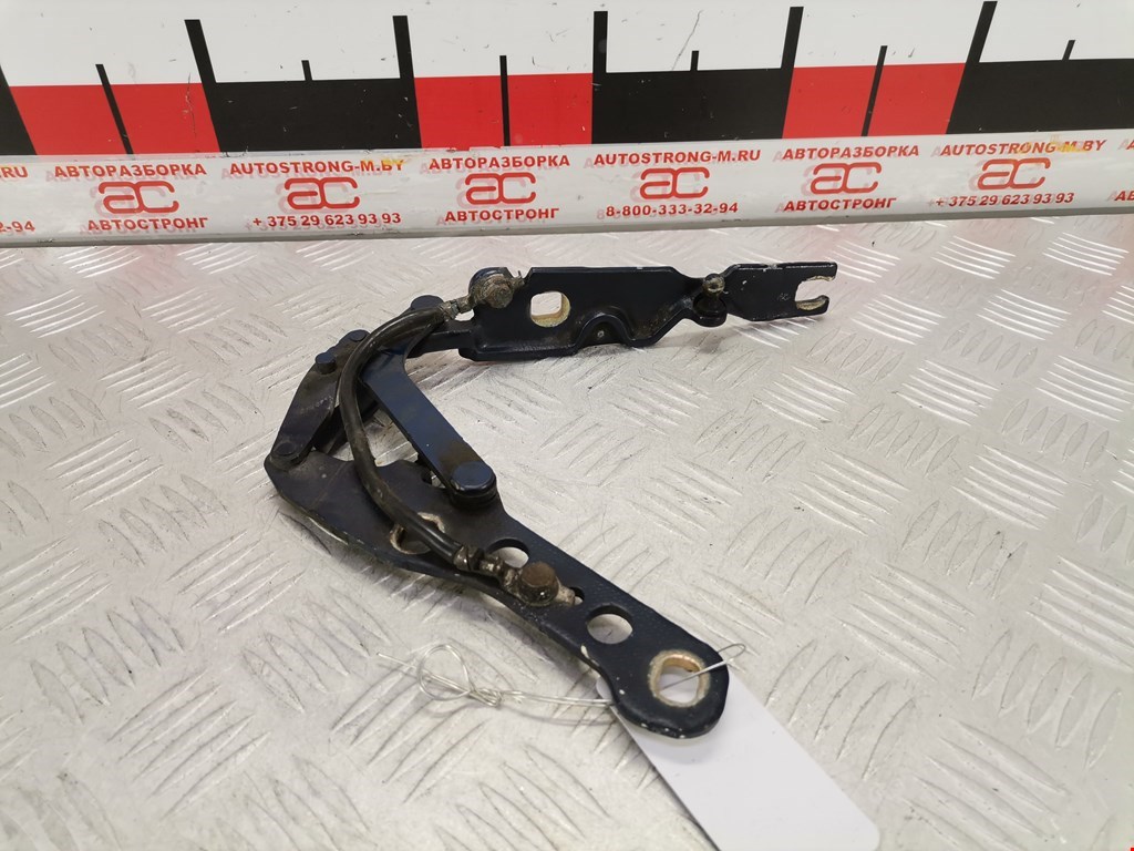 Петля крышки (двери) багажника BMW 3-Series (E46) (1998-2007)