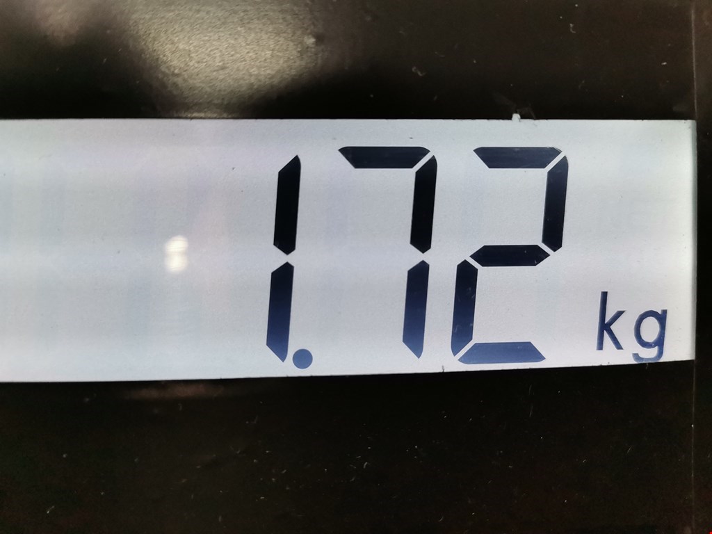 Амортизатор задний левый DACIA Sandero 2008-2012