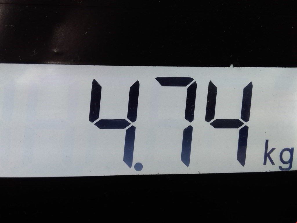 Стартер CITROEN C5 II 2007-2017