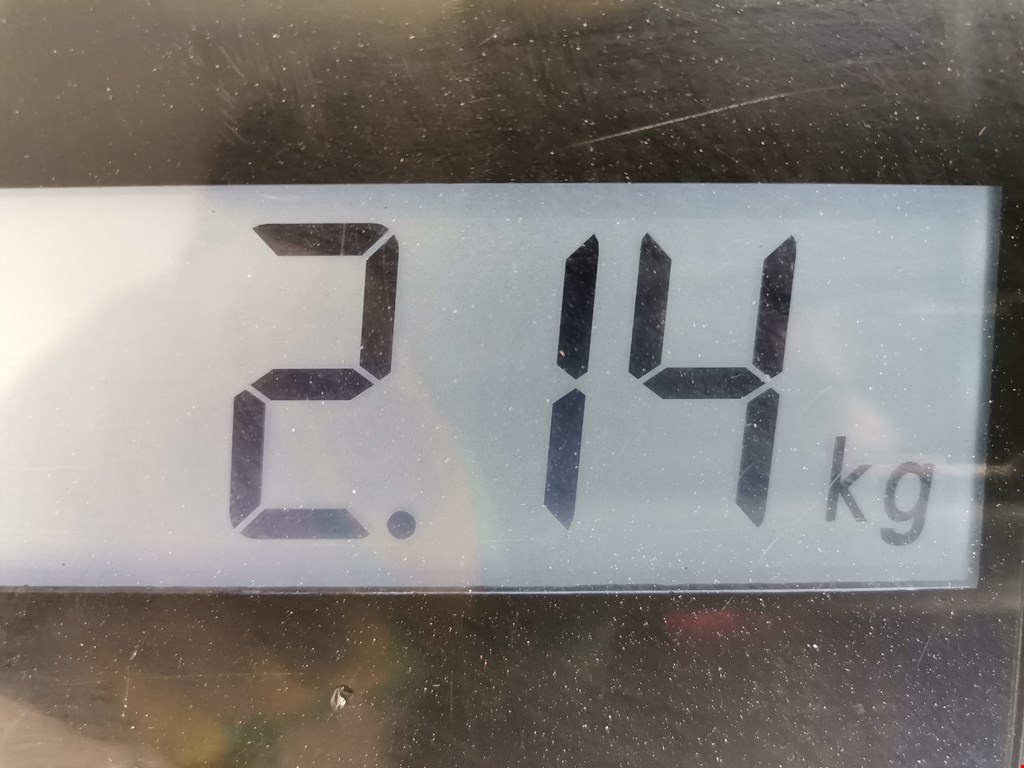 Стеклоподъемник задний левый CHEVROLET TrailBlazer 2001-2008