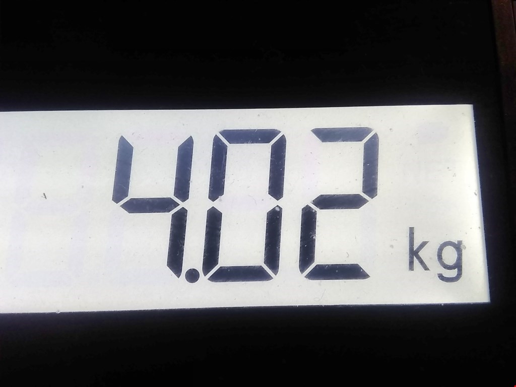 Усилитель тормозов вакуумный FIAT Idea 2003-2016