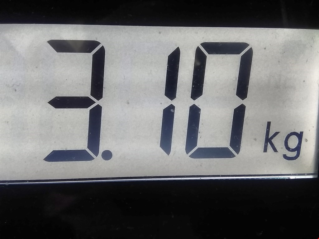 Стабилизатор передний (поперечной устойчивости подвески) VOLKSWAGEN Passat CC 2008-2017