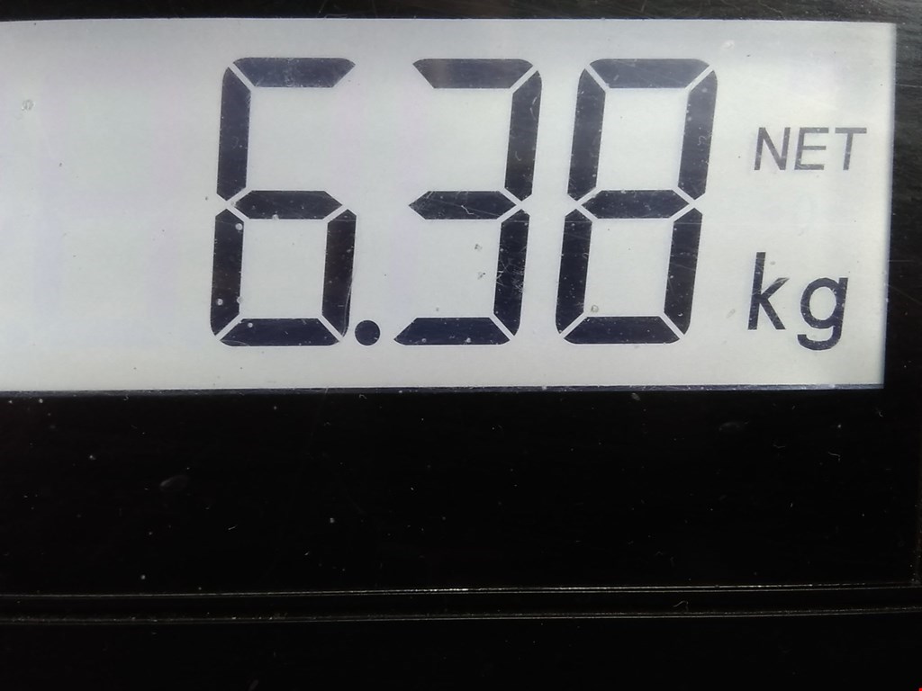 Амортизатор передний левый AUDI A3 8L 1996-2003