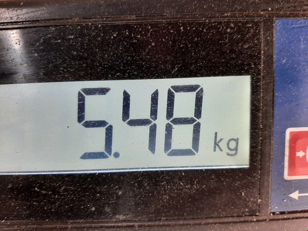 Компрессор кондиционера (системы кондиционирования) BMW 3er E46 1998-2006