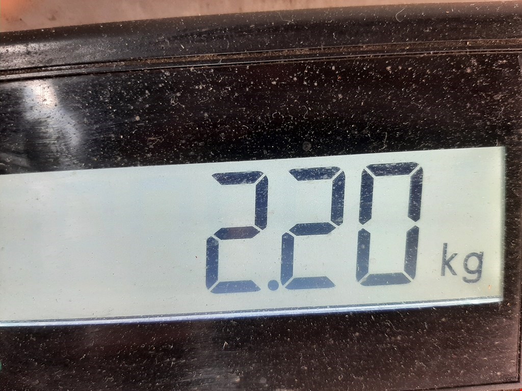 Рычаг передний правый RENAULT Scenic I 1996-2003