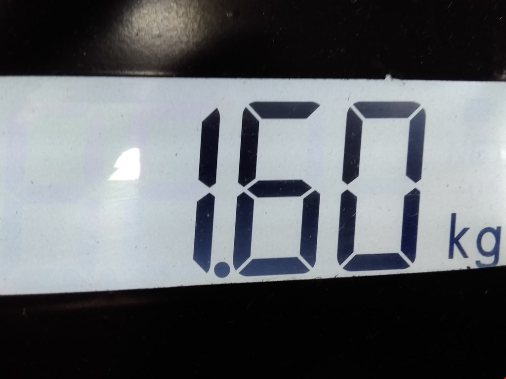 Амортизатор задний левый RENAULT Scenic I 1996-2003