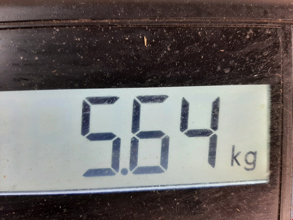 ТНВД (топливный насос высокого давления) PEUGEOT 308 2007-2015