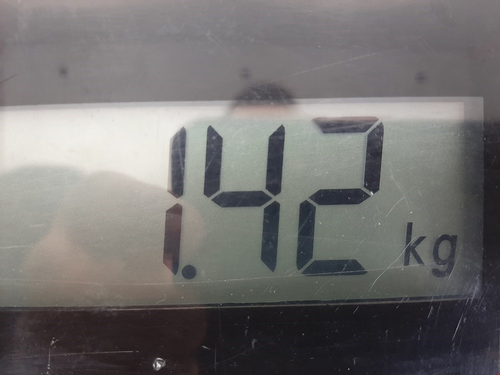 Стеклоподъемник передний правый BUICK Encore 2012-2022