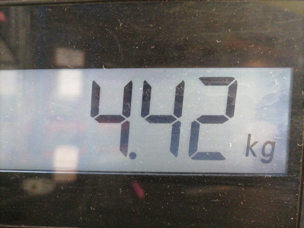 Усилитель переднего бампера (передний) LANCIA Phedra 2002-2010