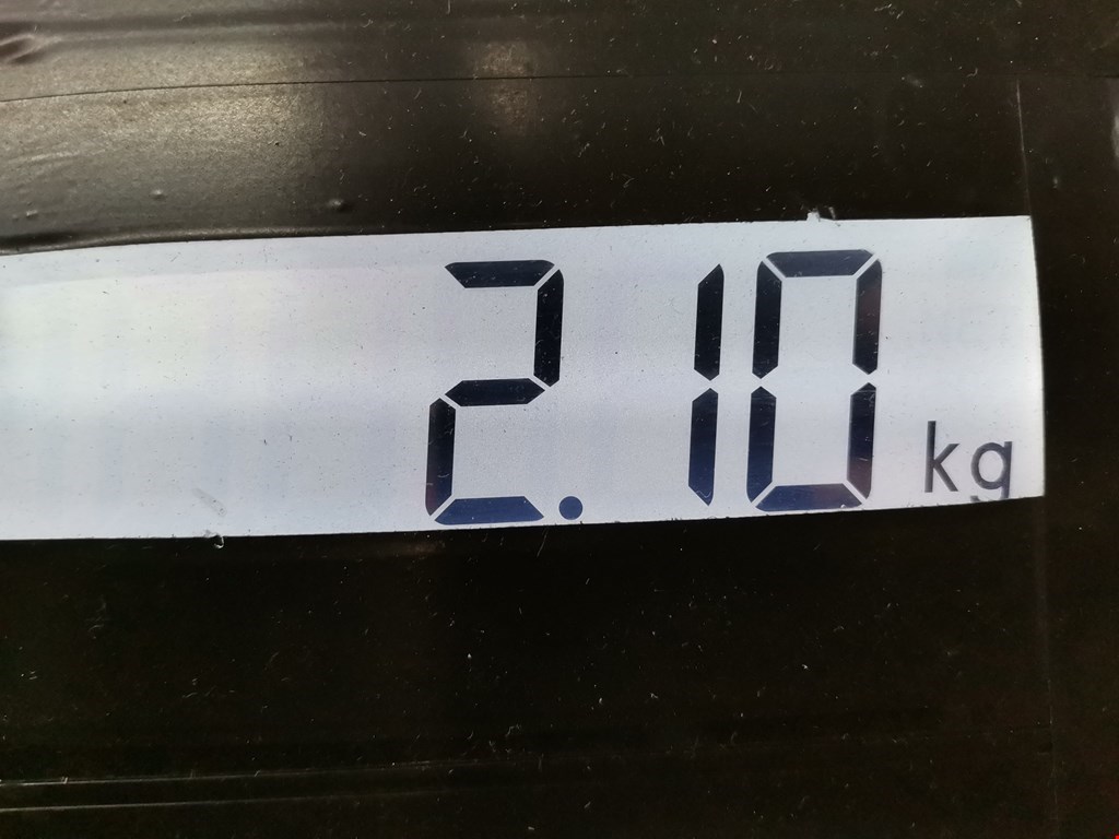 Поддон масляный двигателя OPEL Movano A 1998-2010