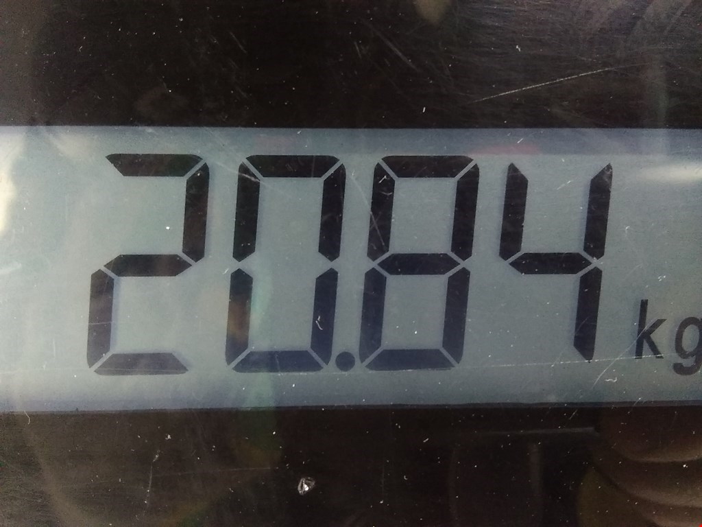 Дверь задняя левая RENAULT Megane II 2002-2009