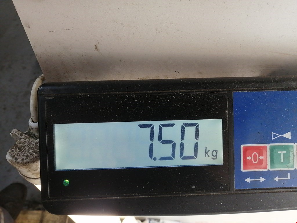 Люк в сборе электрический LEXUS LS UCF20 1997-2000