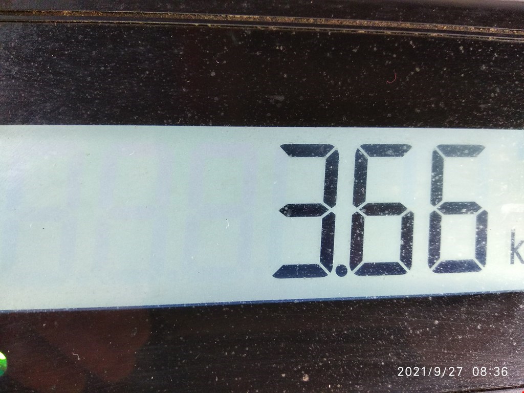 Поддон масляный двигателя CITROEN C 1 II 2014-н.в.