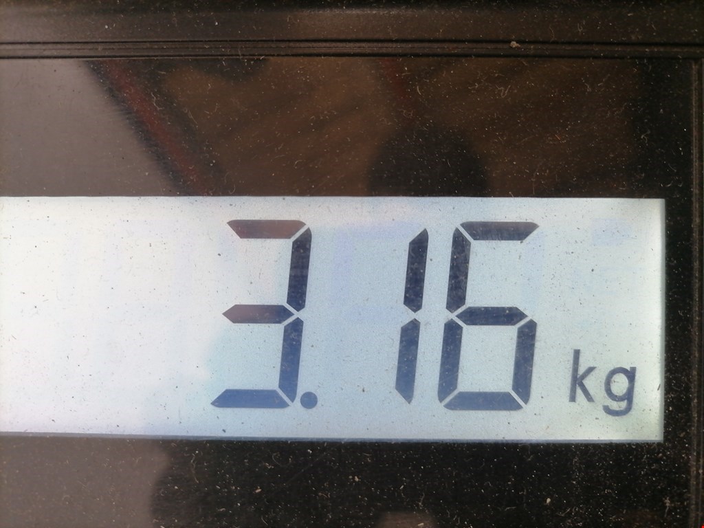 Интеркулер (радиатор интеркулера) SEAT Altea 2004-2015